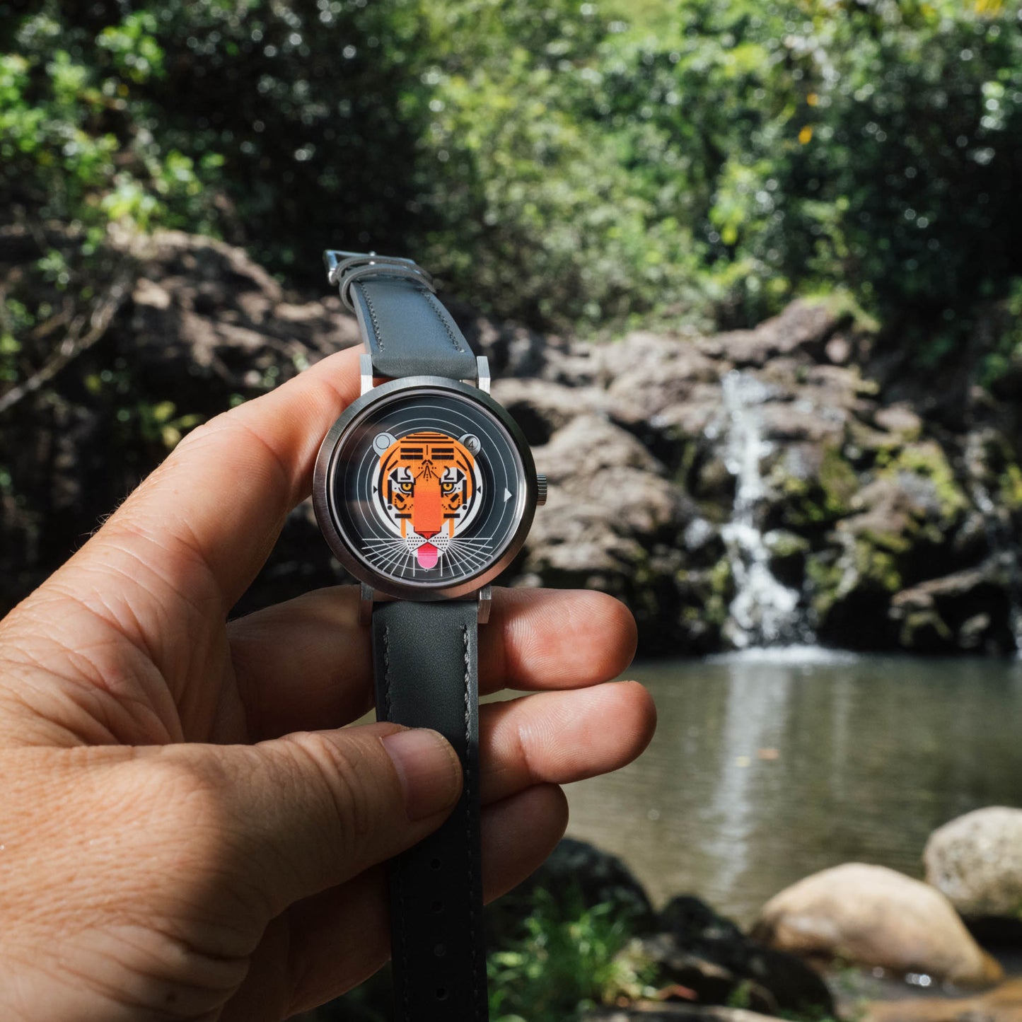 Charley Harper Cool Carnivore Jump Hour Automatic